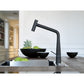 Icon Auszugsbrause Black Matt 115.0625.190 - MEGART