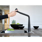 Icon Auszugsbrause Black Matt 115.0625.190 - MEGART
