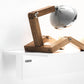 Serie T: [T1M] - MEGART