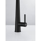 Icon Auszugsbrause Black Matt 115.0690.598 - MEGART