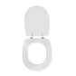 Wc - Sitz Für Azzurra Toilette Afrodite Form 7 - MEGART