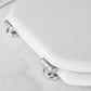 Wc - Sitz Für Catalano WC Canova Forma 6 - MEGART