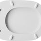 Wc - Sitz Für Catalano WC Canova Forma 6 - MEGART
