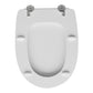 Wc - Sitz Für Delta WC Futura Form 6 - MEGART