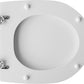 Wc - Sitz Für Faleri WC Assoluto Weiss Form 7 - MEGART