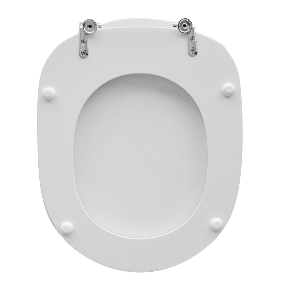 Wc - Sitz Für Pozzi Ginori Toilette Linie Forma 6 - MEGART