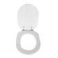 Wc - Sitz Für Pozzi Ginori Toilette Linie Forma 6 - MEGART