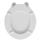 Wc - Sitz Für Pozzi Ginori WC Monte Bianco Form 2 - MEGART