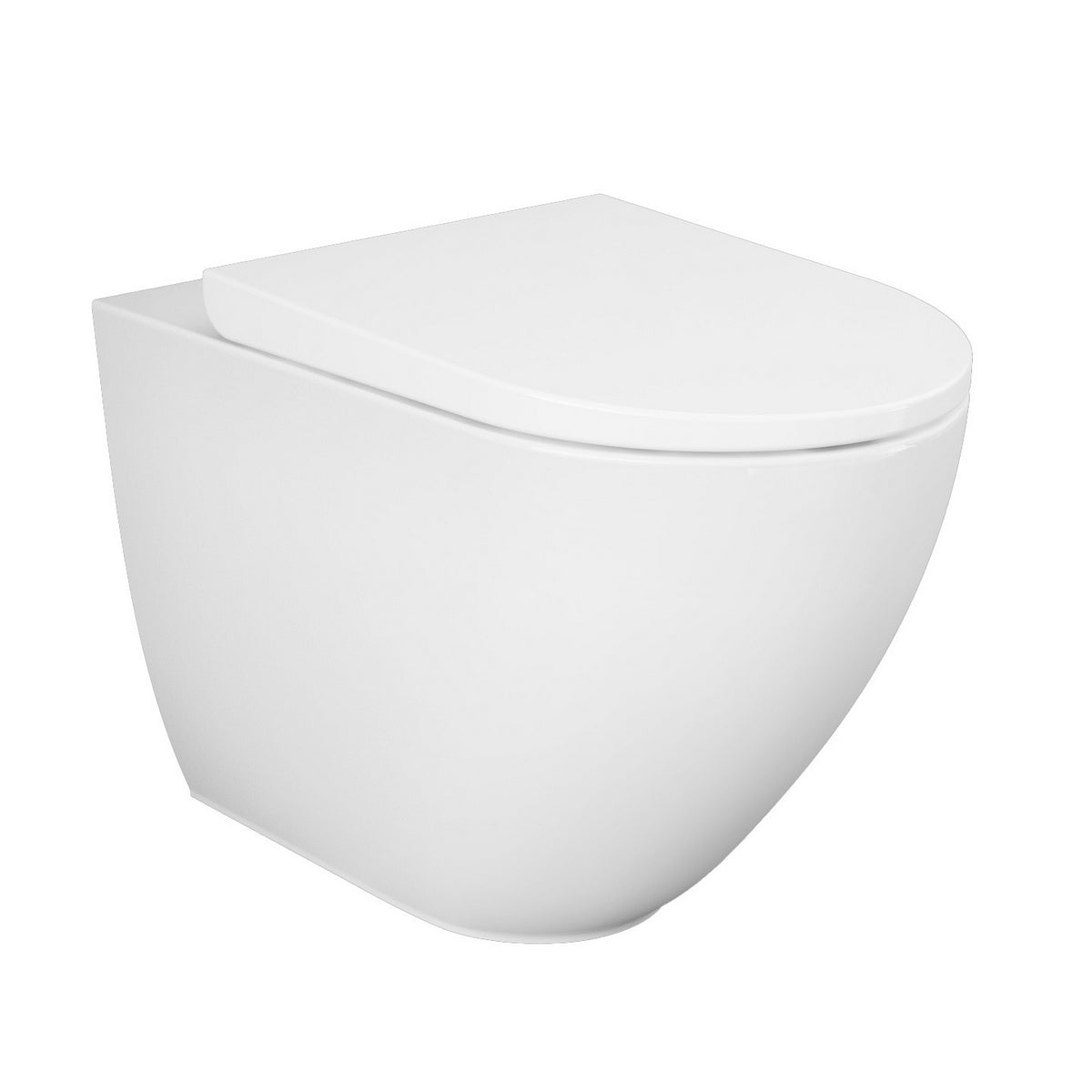 Des WC, wandbündig, Rimless, 58 cm, versteckte Befestigung - MEGART