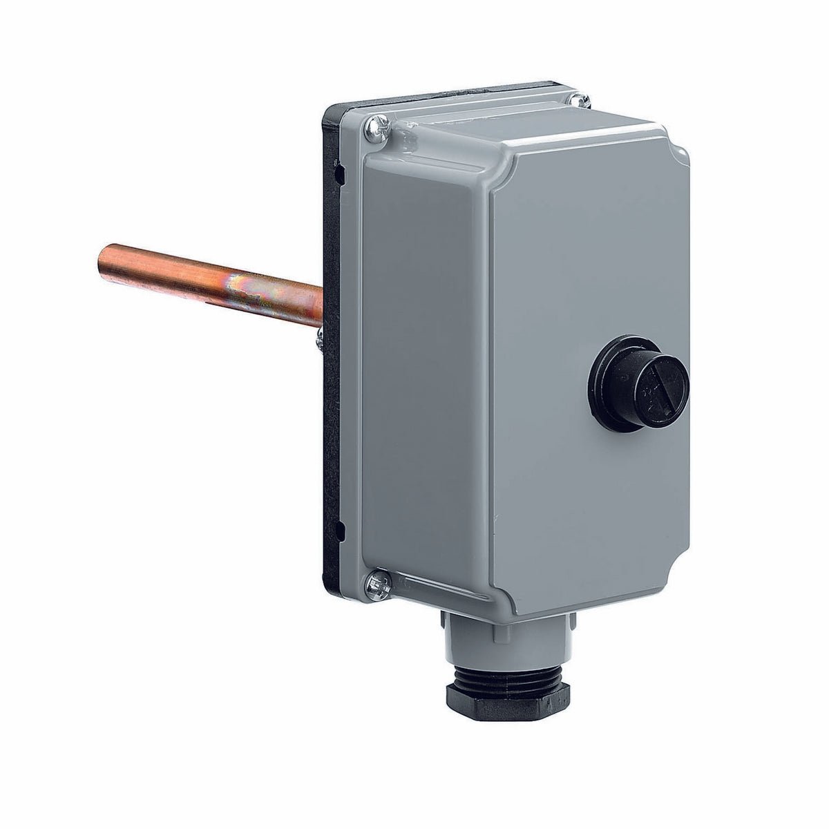 Eintauchthermostat 100° - MEGART