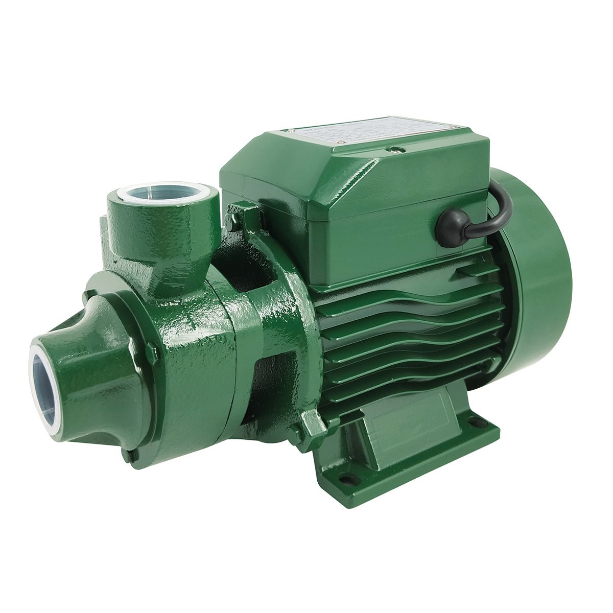 Peripheral Pumpe Aus Guss - MEGART