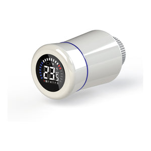 Testa Termostatica Tiemme Elettronica Wifi                            