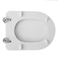 Wc - Sitz Für Cielo WC Ares Forma 7 - MEGART