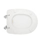 Wc - Sitz Für Jumbo Arethona WC Form 6 - MEGART