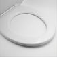 Wc - Sitz Aus Duroplast Globo WC Lei Form 1 - MEGART